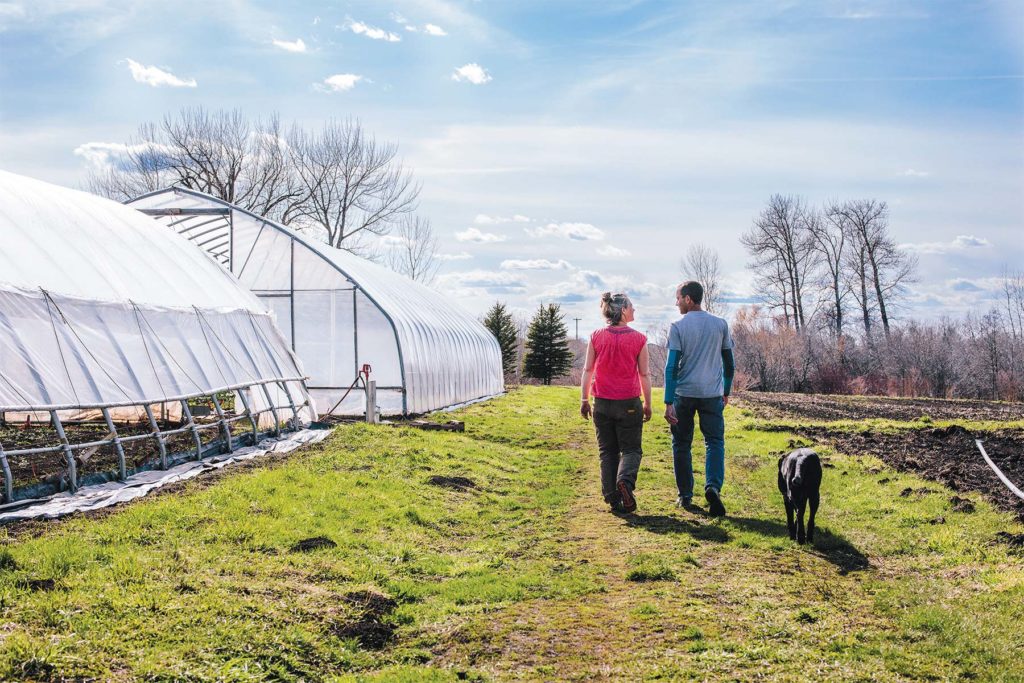 The Corner Piece Gallatin Valley Botanical Edible Bozeman