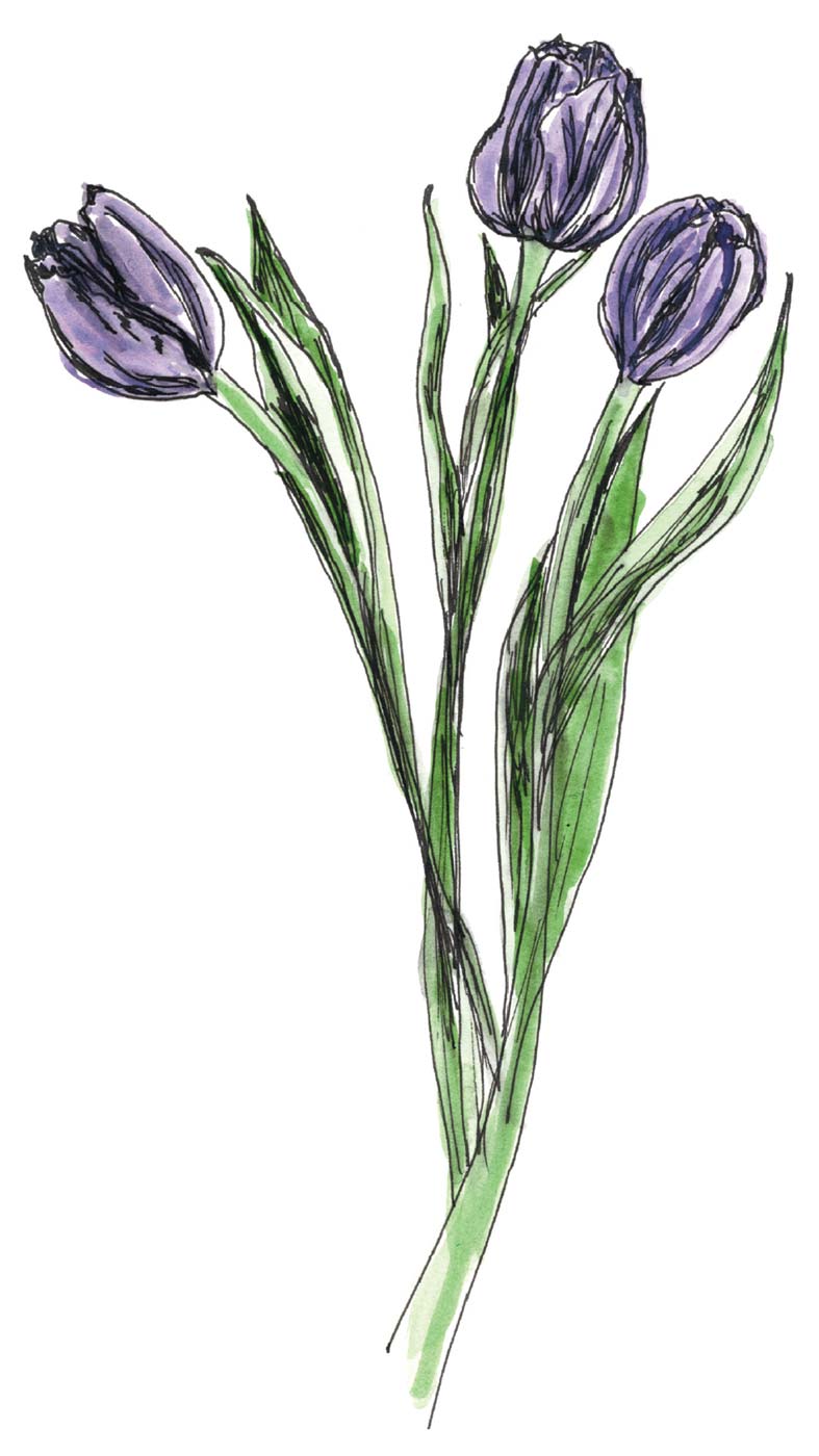 Local Tulips, Mint, and Swiss Chard Edible Bozeman