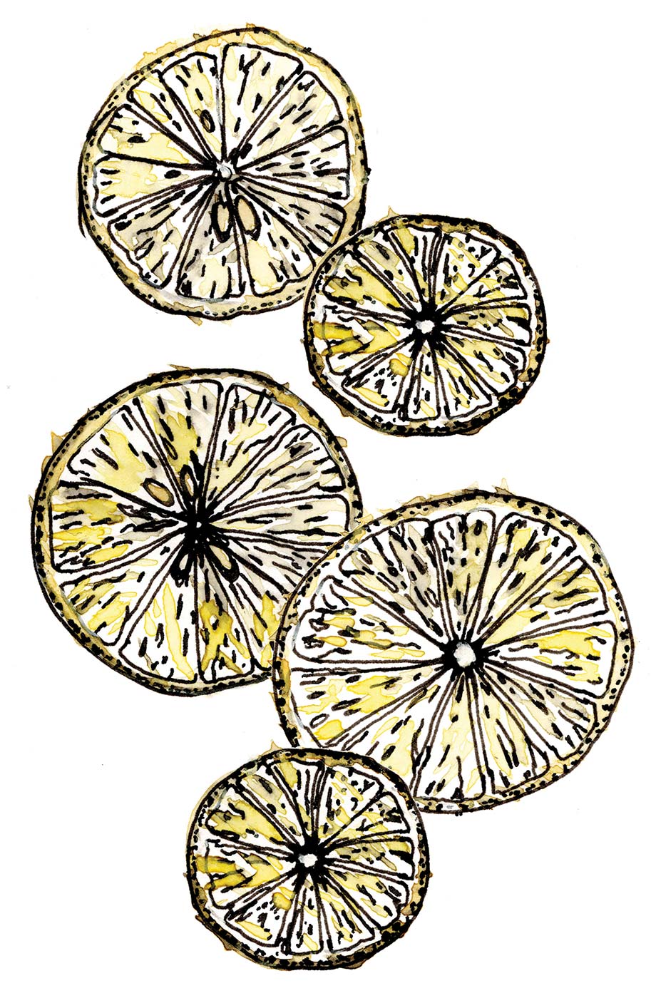 In Season Meyer Lemons, Green Garlic, and Castelfranco Radicchio